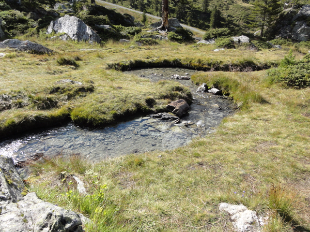bachlauf
